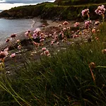 Dunmore House 4*