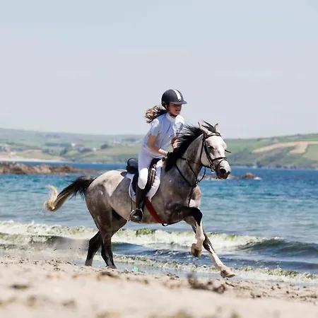 Dunmore House 크로나킬티